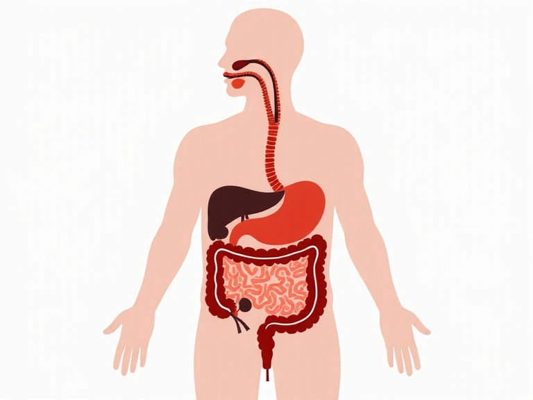 Abstract representation of digestive system health, clean and modern